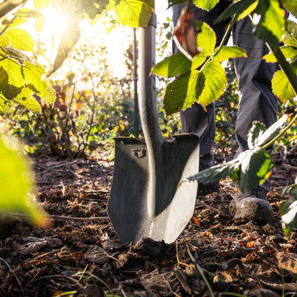 Hollow Point Shovel - D-Handle