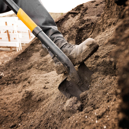 Transfer Shovel - D Handle